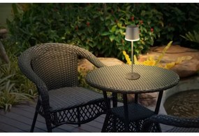 Globo 36637A - LED Solárne svietidlo SOLAR LED/0,6W/3V 3000K IP44 antracit