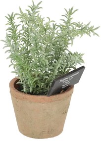 Umelá rastlina (výška 21,5 cm) Thyme – Esschert Design