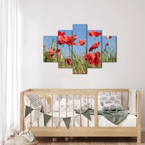Obraz - Vlčie maky (150x105 cm)