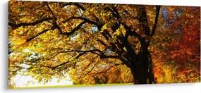 Obraz jesene (120x50 cm)
