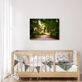Sklenený obraz parku (70x50 cm)