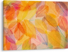 Obraz - Pozadie z jesenného lístia (70x50 cm)