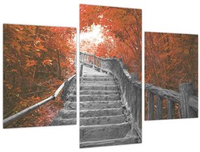 Obraz - Schody v prírode, oranžová (90x60 cm)