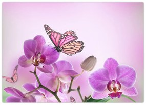 Obraz - Motýľ na kvetoch orchidey, lila (70x50 cm)
