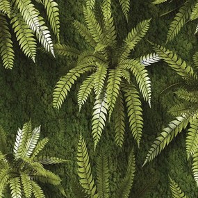 Gresový obklad Dekor Mural 60/60 Exotic Green 4