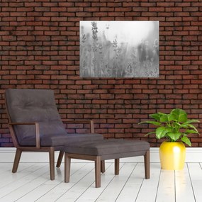 Sklenený obraz - Levanduľa (70x50 cm)