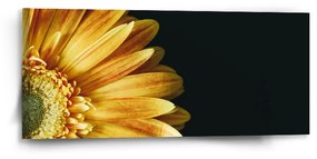 Sablio Obraz Žltá gerbera - 110x50 cm