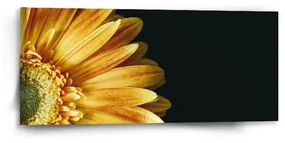 Sablio Obraz Žltá gerbera - 110x50 cm