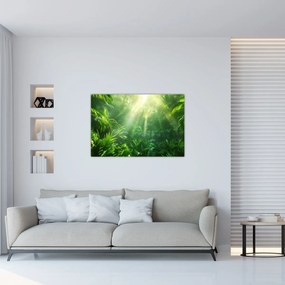 Obraz - Dažďový prales (90x60 cm)