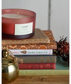 Vonná sviečka doba horenia 25 h Cozy Nectarine – ILLUME x Bloomingville
