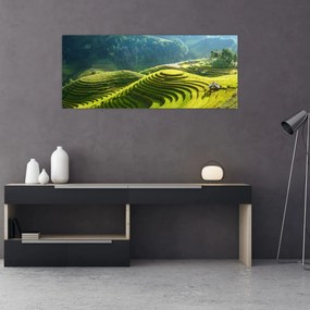 Obraz - Koncert ryžových terás (120x50 cm)