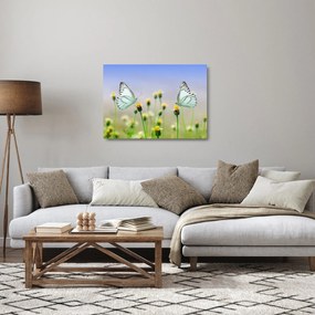 Sklenený obraz motýľov na kvetine (70x50 cm)