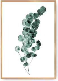 Plagát Eucalyptus Emerald Green