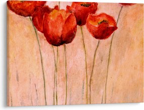 Obraz - Červené tulipány (70x50 cm)