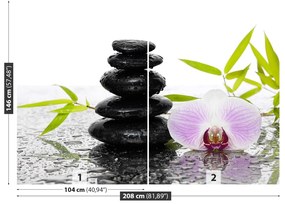 Fototapeta Vliesová Kamene a orchidea 104x70 cm
