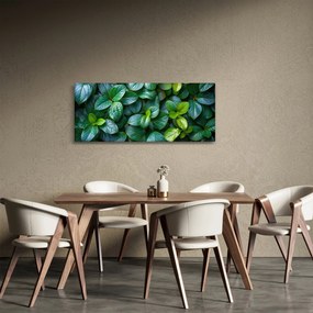 Obraz - Zelené rastliny (120x50 cm)