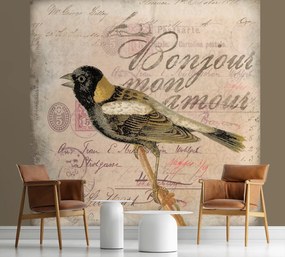 Gario Fototapeta Béžové pozadie vtáky zvieratá - Andrea Haase Materiál: Vliesová, Rozmery: 250 x 250 cm