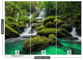 Fototapeta Vliesová Vodopád v džungli 208x146 cm