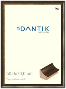 DANTIK rám na obraz 50x70 | Ferrosa bronzová (Plexi Čiré)