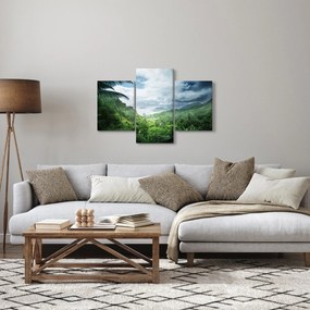 Obraz - Seychelská jungle (90x60 cm)