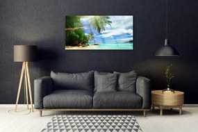 Skleneny obraz Palma pláž more krajina 100x50 cm