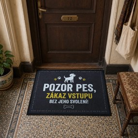 Mercury Flooring, Rohožka so psím povolením 40x60 cm - na von aj na doma, 40x60, šedá