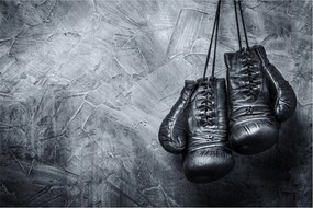 Obraz - Boxerské rukavice (90x60 cm)