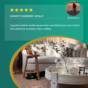 BT Carpet, Behúň Wolly 102843, 80x200, biela, obývacia izba