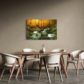 Obraz - Les (90x60 cm)
