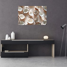 Obraz - Kokosové orechy (90x60 cm)
