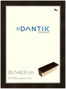 DANTIK rám na obraz 29,7x42 | TECHNO wenge (Plexi Čiré)