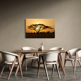 Obraz - Africká savana (90x60 cm)