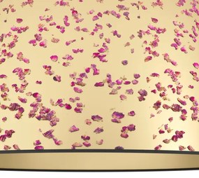 Eglo 390291 - Stropné svietidlo CASTUERA 1xE27/25W/230V zlatá/ružová