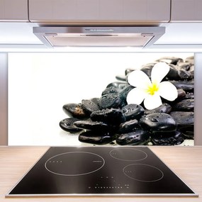 Sklenený obklad Do kuchyne Kvety kamene umenie 125x50 cm