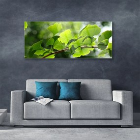 Obraz plexi Vetvy listy príroda strom 125x50 cm