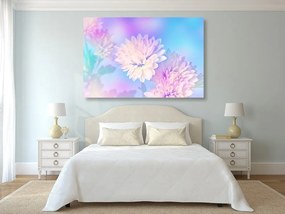 Obraz kvet chryzantémy - 120x80