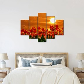 Obraz rozkvitnutého lánu s tulipánmi (150x105 cm)