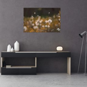 Obraz - Lúka s cottongrass N⁰2 (90x60 cm)