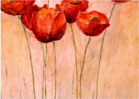 Obraz - Červené tulipány (70x50 cm)