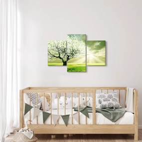 Obraz stromu na lúke (90x60 cm)