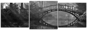Obraz na plátne - Starý most - panoráma 5139QD (120x40 cm)