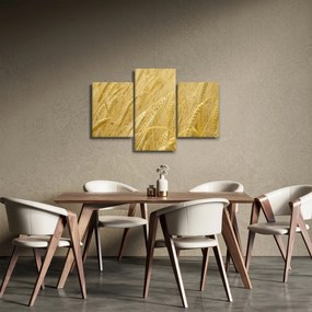 Obraz - Jačmeň (90x60 cm)