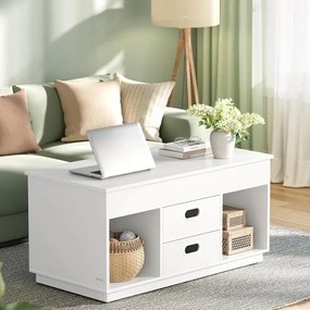 Autronic BONTEC Konferenčný stolík 100x50cm, mdf, drevo, AKF-E1021 WT Farba: Biela