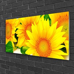 Skleneny obraz Slnečnica kvet príroda 100x50 cm
