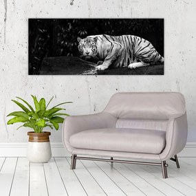 Obraz - Tiger albín, čiernobiely (120x50 cm)