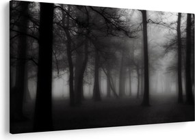 Obraz - Les v hmle (90x60 cm)