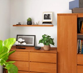Polica PS-5 100 cm, olcha