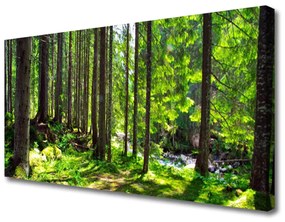 Obraz Canvas Les stromy rastlina príroda 125x50 cm