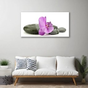 Skleneny obraz Kvet kamene umenie 140x70 cm