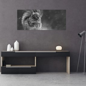 Obraz - Veverička v zime (120x50 cm)